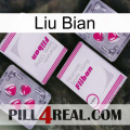 Liu Bian 33